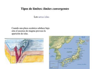 Tipos de límites:  límites convergentes Los  arcos islas Cuando una placa oceánica subduce bajo otra el ascenso de magma provoca la aparición de islas. 