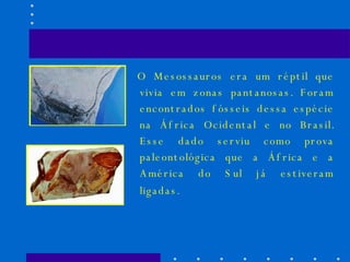 O Mesossauros era um réptil que vivia em zonas pantanosas. Foram encontrados fósseis dessa espécie na África Ocidental e no Brasil. Esse dado serviu como prova paleontológica que a África e a América do Sul já estiveram ligadas.   