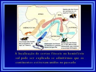 A localização de certos fósseis no hemisfério sul pode ser explicada se admitirmos que os continentes estiveram unidos no passado 