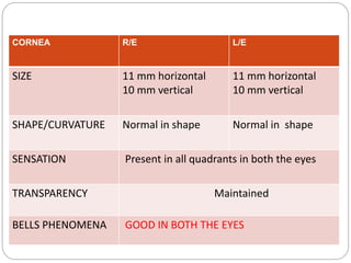 CORNEA R/E L/E
SIZE 11 mm horizontal
10 mm vertical
11 mm horizontal
10 mm vertical
SHAPE/CURVATURE Normal in shape Normal in shape
SENSATION Present in all quadrants in both the eyes
TRANSPARENCY Maintained
BELLS PHENOMENA GOOD IN BOTH THE EYES
 