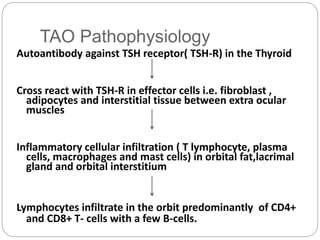 TAO Pathophysiology
Autoantibody against TSH receptor( TSH-R) in the Thyroid
Cross react with TSH-R in effector cells i.e. fibroblast ,
adipocytes and interstitial tissue between extra ocular
muscles
Inflammatory cellular infiltration ( T lymphocyte, plasma
cells, macrophages and mast cells) in orbital fat,lacrimal
gland and orbital interstitium
Lymphocytes infiltrate in the orbit predominantly of CD4+
and CD8+ T- cells with a few B-cells.
 