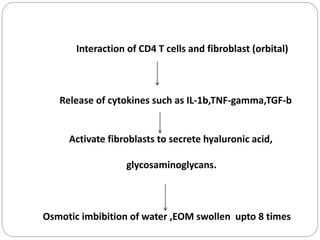 Interaction of CD4 T cells and fibroblast (orbital)
Release of cytokines such as IL-1b,TNF-gamma,TGF-b
Activate fibroblasts to secrete hyaluronic acid,
glycosaminoglycans.
Osmotic imbibition of water ,EOM swollen upto 8 times
 