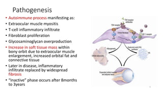Pathogenesis
• Autoimmune process manifesting as:
• Extraocular muscle myositis
• T-cell inflammatory infiltrate
• Fibroblast proliferation
• Glycosaminoglycan overproduction
• Increase in soft tissue mass within
bony orbit due to extraocular muscle
enlargement, increased orbital fat and
connective tissue
• Later in disease, inflammatory
infiltrate replaced by widespread
fibrosis
• “Inactive” phase occurs after 8months
to 3years 6
 