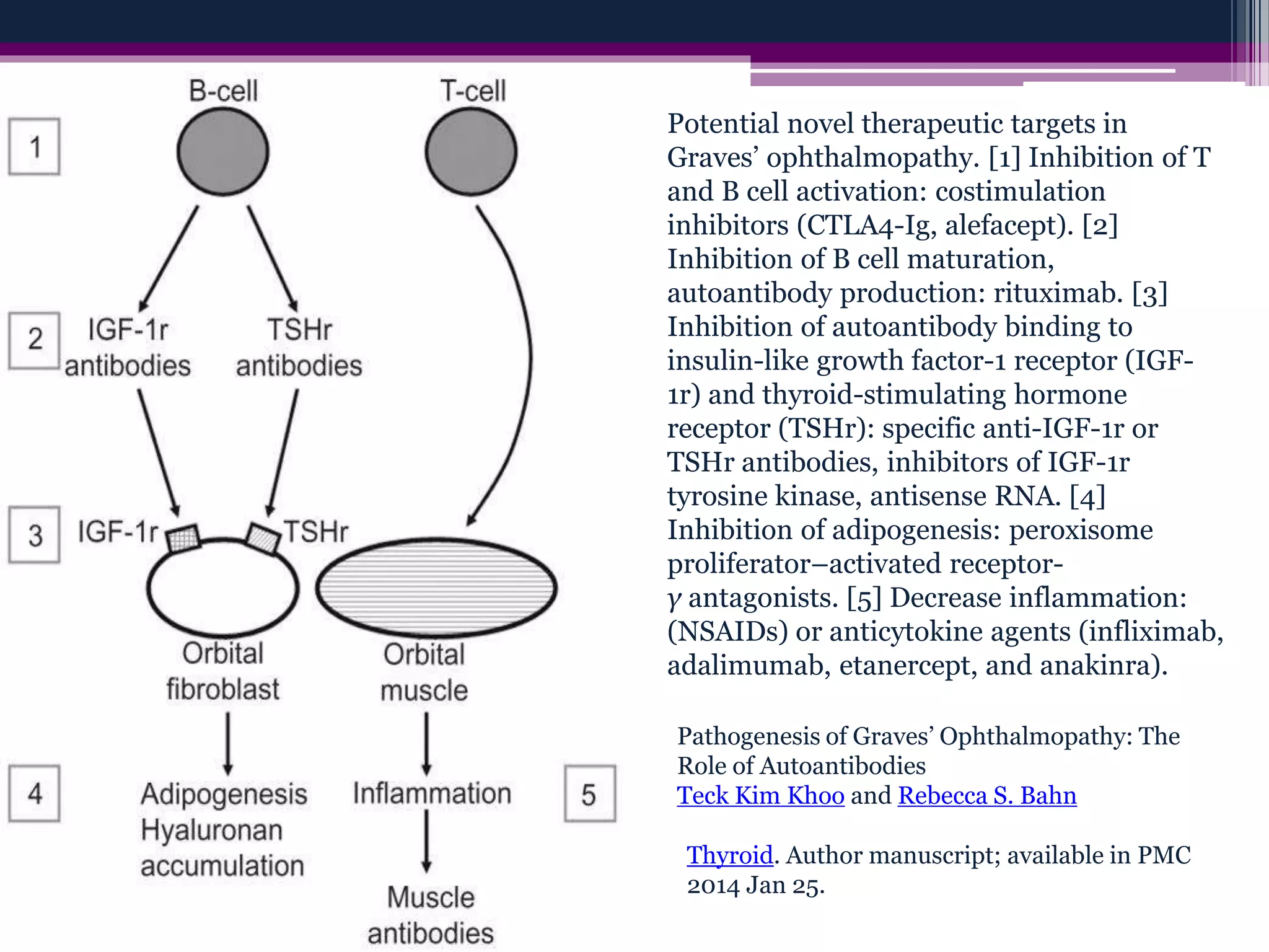 Thyroid eye disease | PPTX