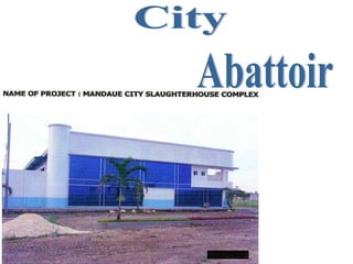 Abattoir City 