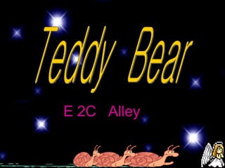 Teddy  Bear E 2C  Alley 