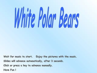 White Polar Bears Wait for music to start.  Enjoy the pictures with the music. Slides will advance automatically, after 3 seconds. Click or press a key to advance manually. Have Fun ! 