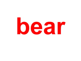 bear

 