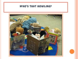 Who’s that howling?
 