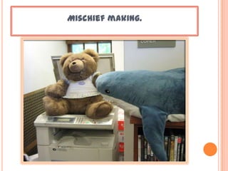 Mischief making.
 