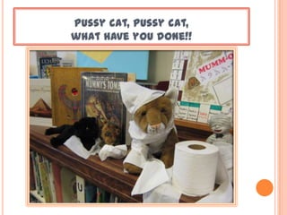 Pussy cat, pussy cat,
what have you done!!
 
