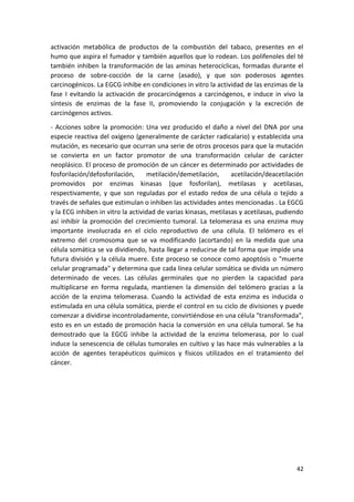 activación metabólica de productos de la combustión del tabaco, presentes en el
humo que aspira el fumador y también aquellos que lo rodean. Los polifenoles del té
también inhiben la transformación de las aminas heterocíclicas, formadas durante el
proceso de sobre-cocción de la carne (asado), y que son poderosos agentes
carcinogénicos. La EGCG inhibe en condiciones in vitro la actividad de las enzimas de la
fase I evitando la activación de procarcinógenos a carcinógenos, e induce in vivo la
síntesis de enzimas de la fase II, promoviendo la conjugación y la excreción de
carcinógenos activos.
- Acciones sobre la promoción: Una vez producido el daño a nivel del DNA por una
especie reactiva del oxígeno (generalmente de carácter radicalario) y establecida una
mutación, es necesario que ocurran una serie de otros procesos para que la mutación
se convierta en un factor promotor de una transformación celular de carácter
neoplásico. El proceso de promoción de un cáncer es determinado por actividades de
fosforilación/defosforilación,
metilación/demetilación,
acetilación/deacetilación
promovidos por enzimas kinasas (que fosforilan), metilasas y acetilasas,
respectivamente, y que son reguladas por el estado redox de una célula o tejido a
través de señales que estimulan o inhiben las actividades antes mencionadas . La EGCG
y la ECG inhiben in vitro la actividad de varias kinasas, metilasas y acetilasas, pudiendo
así inhibir la promoción del crecimiento tumoral. La telomerasa es una enzima muy
importante involucrada en el ciclo reproductivo de una célula. El telómero es el
extremo del cromosoma que se va modificando (acortando) en la medida que una
célula somática se va dividiendo, hasta llegar a reducirse de tal forma que impide una
futura división y la célula muere. Este proceso se conoce como apoptósis o "muerte
celular programada" y determina que cada línea celular somática se divida un número
determinado de veces. Las células germinales que no pierden la capacidad para
multiplicarse en forma regulada, mantienen la dimensión del telómero gracias a la
acción de la enzima telomerasa. Cuando la actividad de esta enzima es inducida o
estimulada en una célula somática, pierde el control en su ciclo de divisiones y puede
comenzar a dividirse incontroladamente, convirtiéndose en una célula "transformada",
esto es en un estado de promoción hacia la conversión en una célula tumoral. Se ha
demostrado que la EGCG inhibe la actividad de la enzima telomerasa, por lo cual
induce la senescencia de células tumorales en cultivo y las hace más vulnerables a la
acción de agentes terapéuticos químicos y físicos utilizados en el tratamiento del
cáncer.

42

 