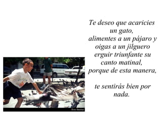 Te deseo que acaricies  un gato,  alimentes a un pájaro y oigas a un jilguero erguir triunfante su canto matinal,  porque de esta manera,  te sentirás bien por nada.  