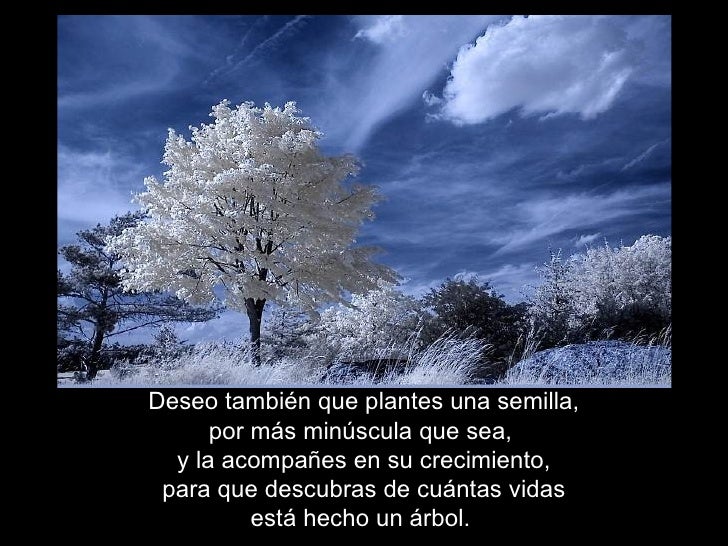 Poema Te Deseo De Victor Hugo Te deseo. Poema de Víctor Hugo.