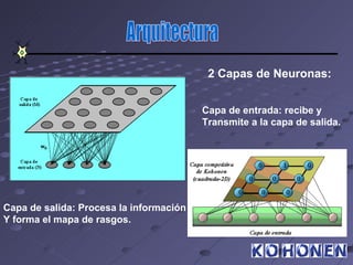 2 Capas de Neuronas:


                                         Capa de entrada: recibe y
                                         Transmite a la capa de salida.




Capa de salida: Procesa la información
Y forma el mapa de rasgos.
 