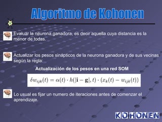 Evaluar la neurona ganadora, es decir aquella cuya distancia es la
menor de todas.


Actualizar los pesos sinápticos de la neurona ganadora y de sus vecinas
según la regla:
          Actualización de los pesos en una red SOM




Lo usual es fijar un numero de iteraciones antes de comenzar el
aprendizaje.
 