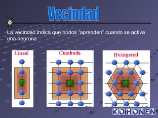 La vecindad indica que nodos “aprenden” cuando se activa
una neurona
 