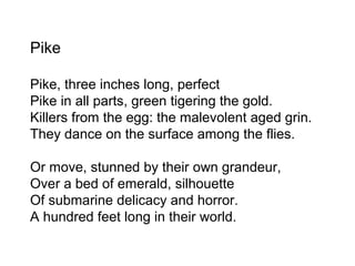 Pike
Pike, three inches long, perfect
Pike in all parts, green tigering the gold.
Killers from the egg: the malevolent aged grin.
They dance on the surface among the flies.
Or move, stunned by their own grandeur,
Over a bed of emerald, silhouette
Of submarine delicacy and horror.
A hundred feet long in their world.
 