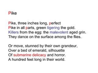 Pike
Pike, three inches long, perfect
Pike in all parts, green tigering the gold.
Killers from the egg: the malevolent aged grin.
They dance on the surface among the flies.
Or move, stunned by their own grandeur,
Over a bed of emerald, silhouette
Of submarine delicacy and horror.
A hundred feet long in their world.
 
