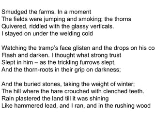 Smudged the farms. In a moment
The fields were jumping and smoking; the thorns
Quivered, riddled with the glassy verticals.
I stayed on under the welding cold
Watching the tramp’s face glisten and the drops on his coa
Flash and darken. I thought what strong trust
Slept in him – as the trickling furrows slept,
And the thorn-roots in their grip on darkness;
And the buried stones, taking the weight of winter;
The hill where the hare crouched with clenched teeth.
Rain plastered the land till it was shining
Like hammered lead, and I ran, and in the rushing wood
 