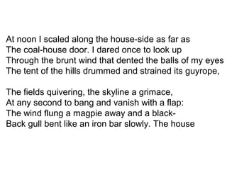 At noon I scaled along the house-side as far as
The coal-house door. I dared once to look up
Through the brunt wind that dented the balls of my eyes
The tent of the hills drummed and strained its guyrope,
The fields quivering, the skyline a grimace,
At any second to bang and vanish with a flap:
The wind flung a magpie away and a black-
Back gull bent like an iron bar slowly. The house
 