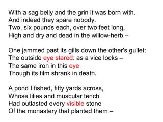 With a sag belly and the grin it was born with.
And indeed they spare nobody.
Two, six pounds each, over two feet long,
High and dry and dead in the willow-herb –
One jammed past its gills down the other's gullet:
The outside eye stared: as a vice locks –
The same iron in this eye
Though its film shrank in death.
A pond I fished, fifty yards across,
Whose lilies and muscular tench
Had outlasted every visible stone
Of the monastery that planted them –
 