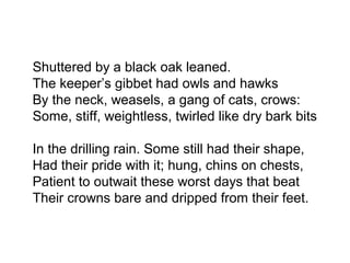 Shuttered by a black oak leaned.
The keeper’s gibbet had owls and hawks
By the neck, weasels, a gang of cats, crows:
Some, stiff, weightless, twirled like dry bark bits
In the drilling rain. Some still had their shape,
Had their pride with it; hung, chins on chests,
Patient to outwait these worst days that beat
Their crowns bare and dripped from their feet.
 