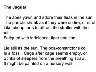 The Jaguar
The apes yawn and adore their fleas in the sun.
The parrots shriek as if they were on fire, or strut
Like cheap tarts to attract the stroller with the
nut.
Fatigued with indolence, tiger and lion
Lie still as the sun. The boa-constrictor’s coil
Is a fossil. Cage after cage seems empty, or
Stinks of sleepers from the breathing straw.
It might be painted on a nursery wall.
 
