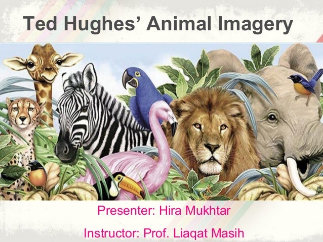 Ted Hughes S Animal Imagery