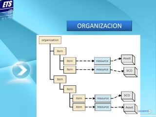 ORGANIZACION
 