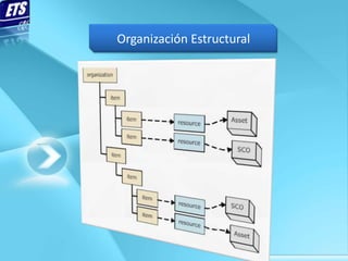 Organización Estructural
 