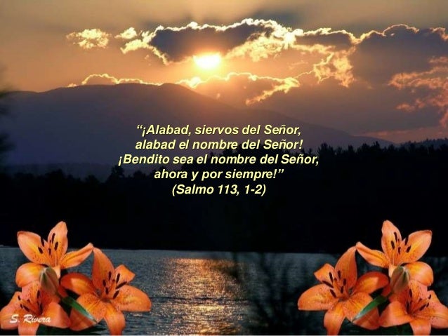 Resultado de imagen para Alabad, siervos del Señor,  alabad el nombre del Señor.