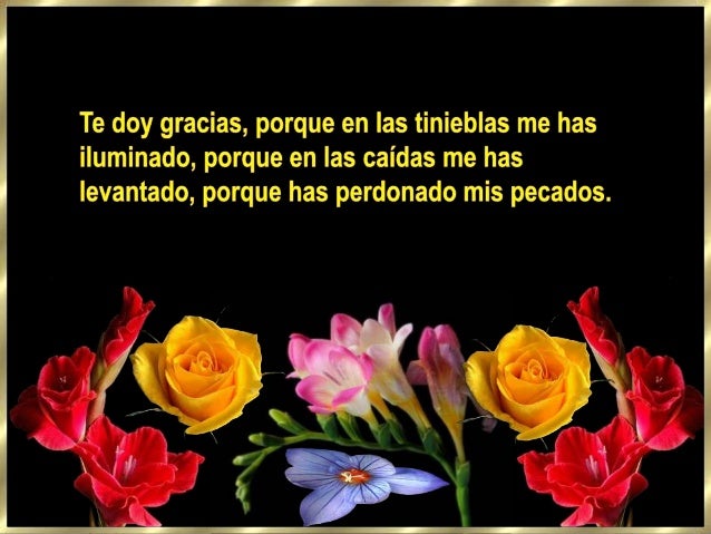 Te doy gracias por este año