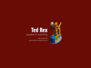 Ted Rex portfolio