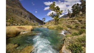 Investing in “green infrastructure” will bring more than just environmental returns