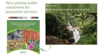 Investing in “green infrastructure” will bring more than just environmental returns