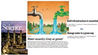 Investing in “green infrastructure” will bring more than just environmental returns