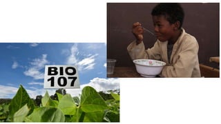 Investing in “green infrastructure” will bring more than just environmental returns