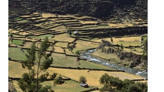 Investing in “green infrastructure” will bring more than just environmental returns