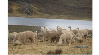 Investing in “green infrastructure” will bring more than just environmental returns