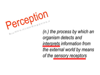(n.) the process by which an
organism detects and
interprets information from
the external world by means
of the sensory receptors
 