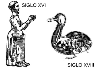 SIGLO XVI
SIGLO XVIII