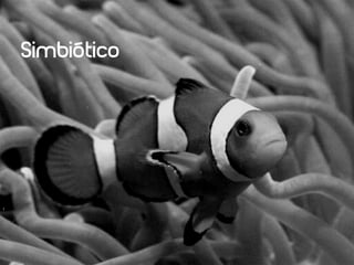 Simbiótico
 