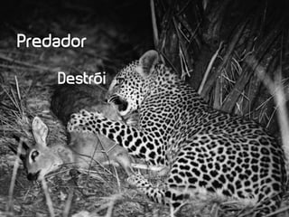 Predador

    Destrói
 