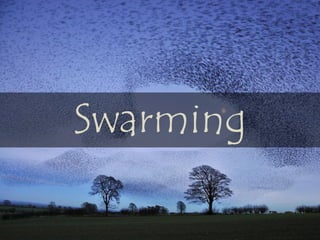 Swarming
 