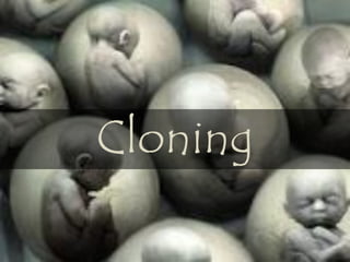 Cloning
 