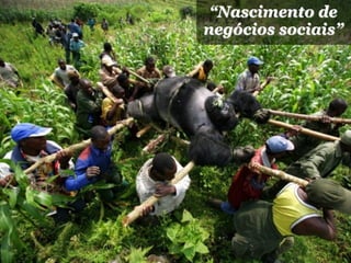 “Nascimento de
negócios sociais”
 