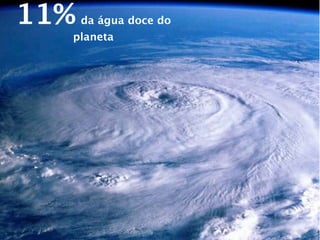 11%   da água doce do
  planeta
 