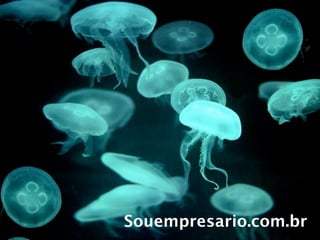 Souempresario.com.br
 