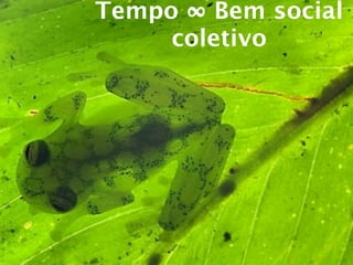Tempo ∞ Bem social
     coletivo
 